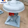 Axial Ventilator, 220V/380V, 600mm, IP55, Waterproof