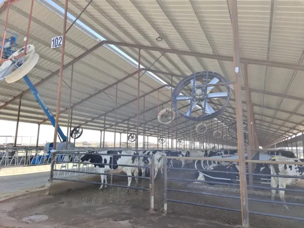 Barn Fan, 380-480v, 38800CFM - view 6