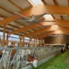 Big Sized Industrial Fan, 7.3m, 24ft