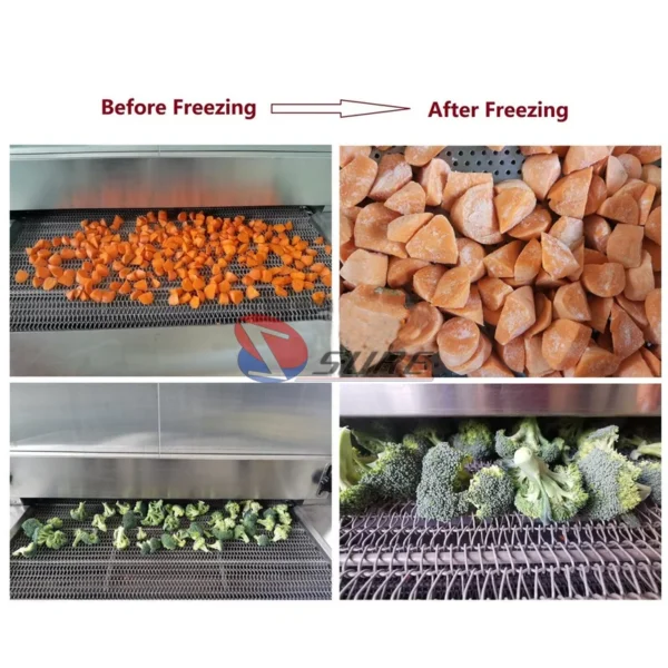 Blast Freezer, 100, 150, 200 - view 6