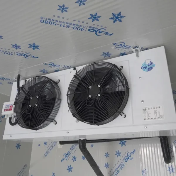 Blast Freezer, 110~440V 50 - view 3