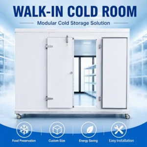 Blast Freezer, 110 V, 913 W