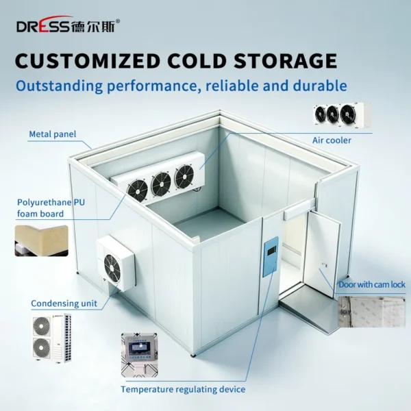 Blast Freezer, 110 V, 913 W - view 5