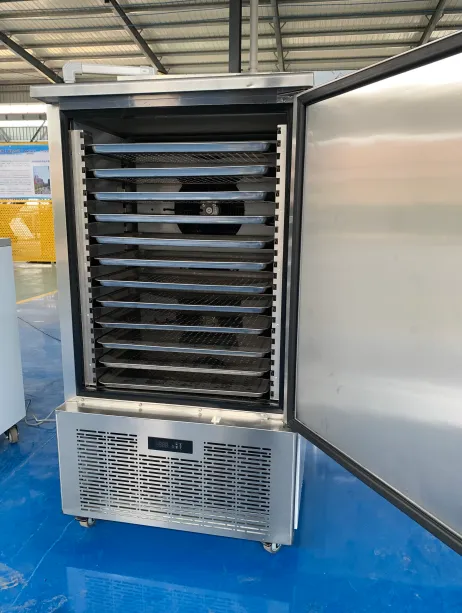Blast Freezer, 110 V, Stainless Steel - view 2