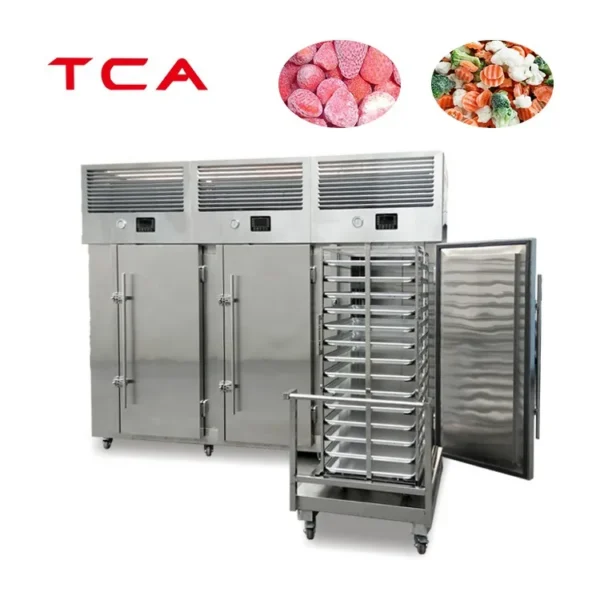Blast Freezer, 115V, 30-120KG - view 2