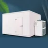 Blast Freezer, 20ft