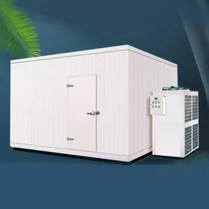 Blast Freezer, 20ft