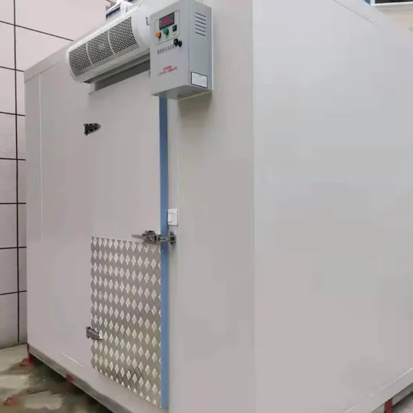 Blast Freezer, 20ft - view 2