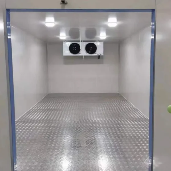 Blast Freezer, 20ft - view 5