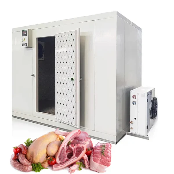Blast Freezer, 20ft, 40ft - view 2