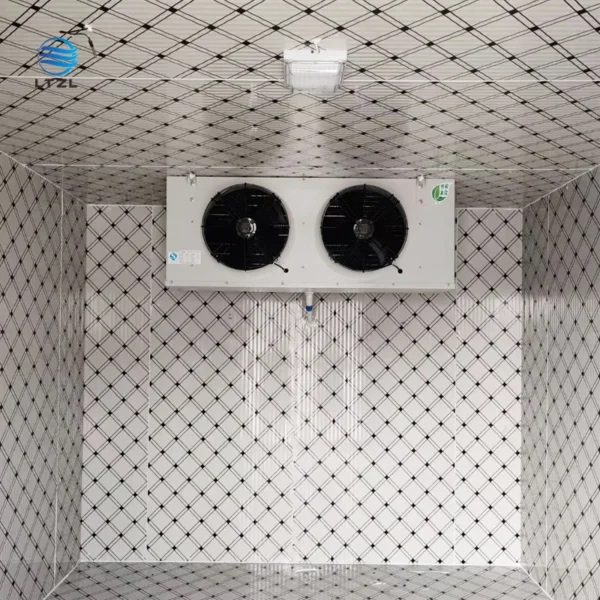 Blast Freezer, 20ft, 60ft - view 6