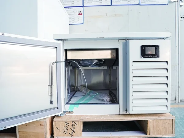 Blast Freezer, 220 V, R404A - view 4