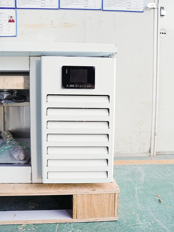 Blast Freezer, 220 V, R404A - view 5