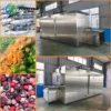 Blast Freezer, 220 V, Tunnel Freezer - view 2