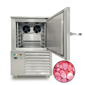 Blast Freezer, 220V, 2.3