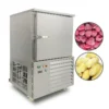 Blast Freezer, 220V, 2.3