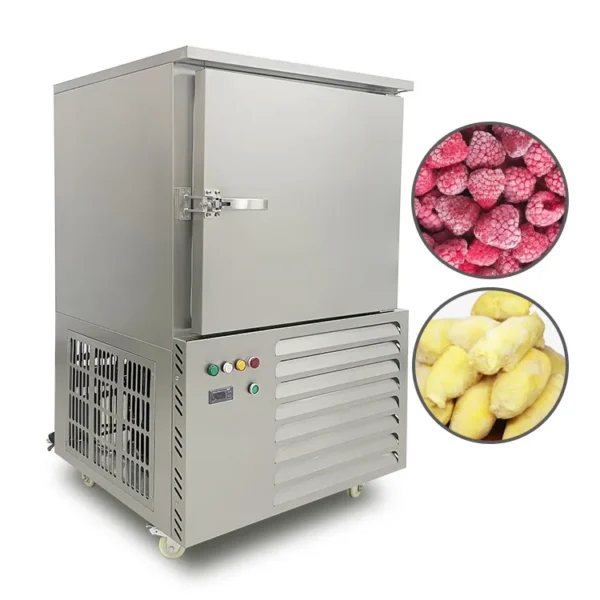 Blast Freezer, 220V, 2.3