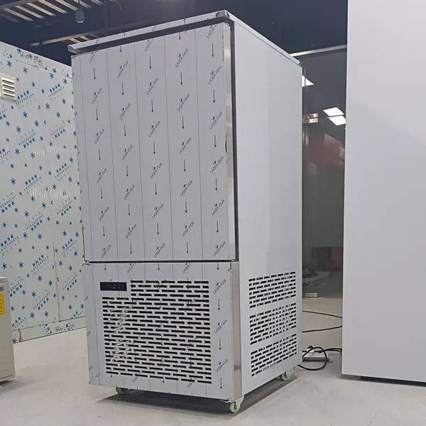 Blast Freezer, 220V-240V