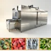 Blast Freezer, 220V-380V, 500W - view 2