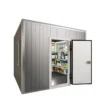Blast Freezer, 220V, 5 ton