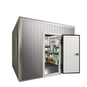 Blast Freezer, 220V, 5 ton