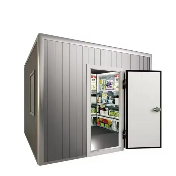 Blast Freezer, 220V, 5 ton