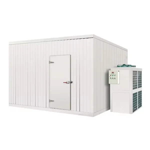 Blast Freezer, 220V, 5 ton - view 3
