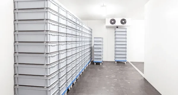 Blast Freezer, 220V, 5 ton - view 4