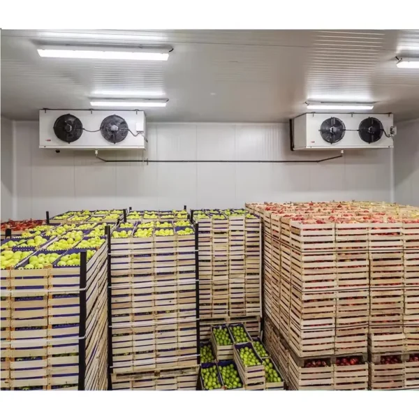 Blast Freezer, 220V, 5 ton - view 5