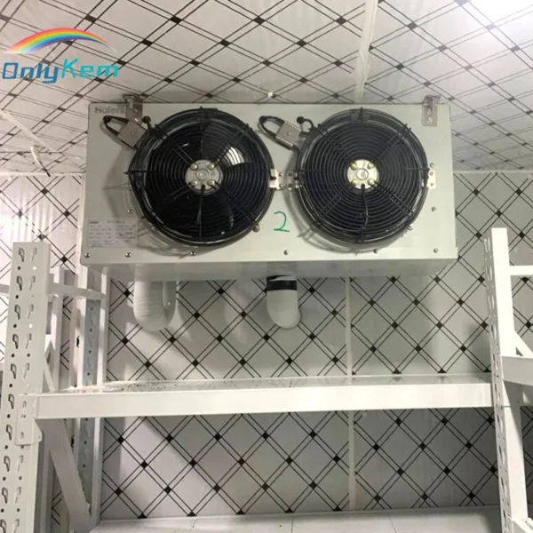 Blast Freezer, 25°C, AC 220V~240V, R-404A - view 6