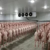 Blast Freezer, 380 V, 500 W