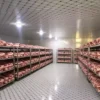 Blast Freezer, 380 V, 500 W - view 2