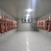 Blast Freezer, 380 V, 500 W - view 3