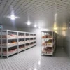 Blast Freezer, 380 V, 500 W - view 4