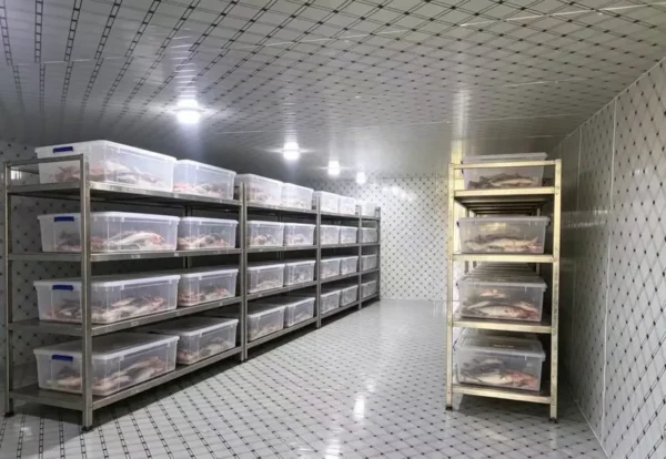 Blast Freezer, 380 V, 500 W - view 6