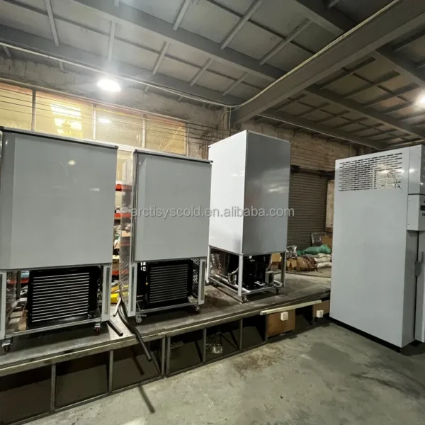 Blast Freezer, 5 Trays, 1.5