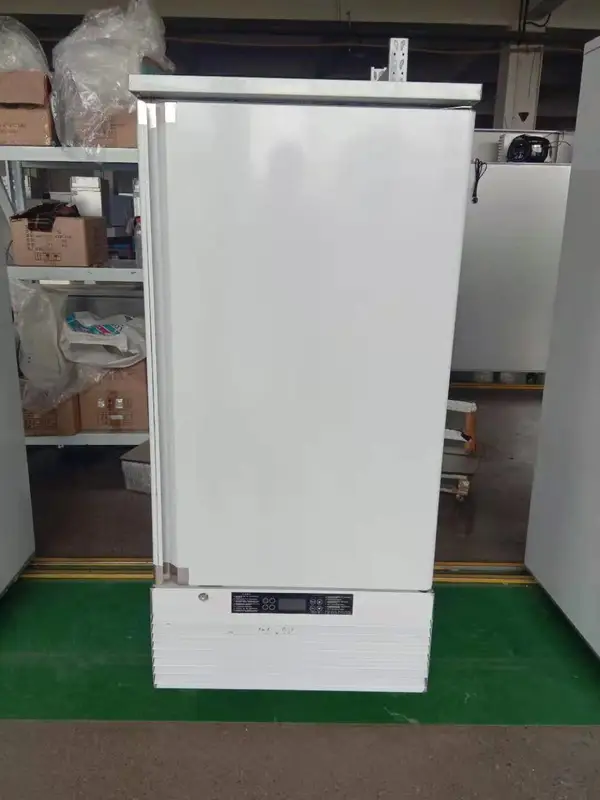 Blast Freezer, 500kg, 220V, 0.75KW - view 4