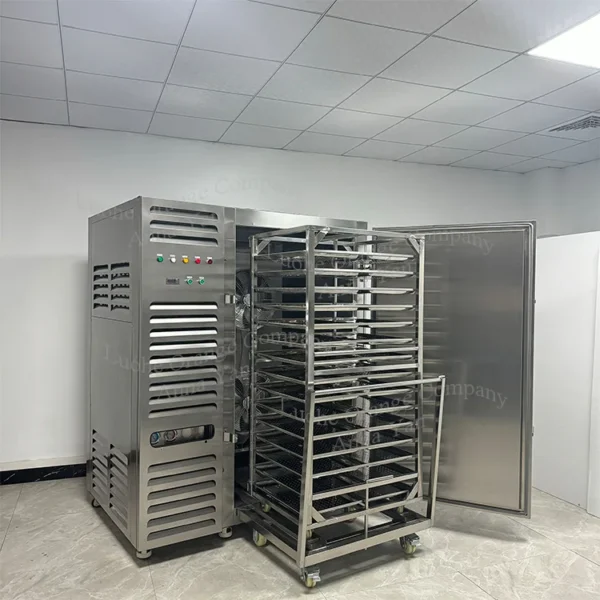 Blast Freezer, 650L, 1100L-45C - view 5