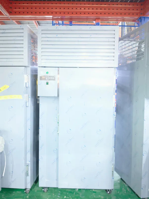 Blast Freezer, 80°c, 220 V, 1500