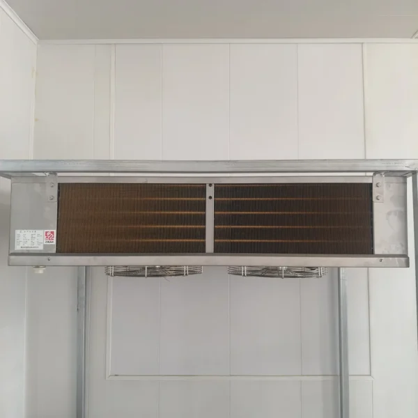 Blast Freezer, Ceiling, 380V, R507A - view 6