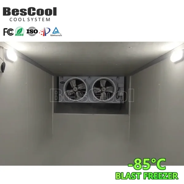 Blast Freezer, CO2, 85~-60 - view 4