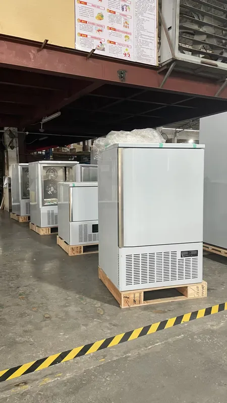 Blast Freezer, Electric, R404A - view 2