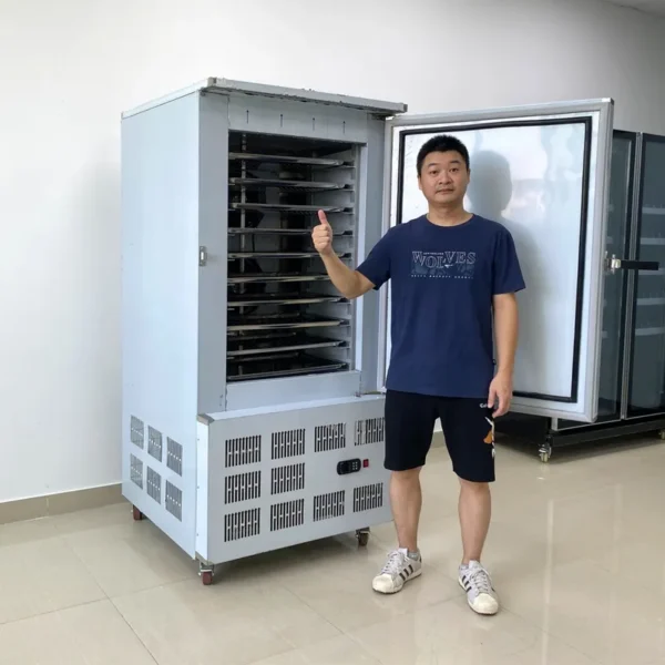 Blast Freezer, IQF, 10-Tray - view 6