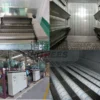 Blast Freezer, IQF, Stainless Steel 304, Tunnel Freezer - view 4
