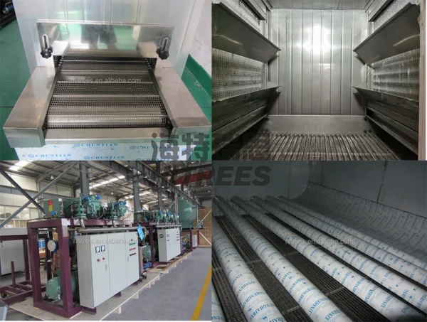 Blast Freezer, IQF, Stainless Steel 304, Tunnel Freezer - view 4