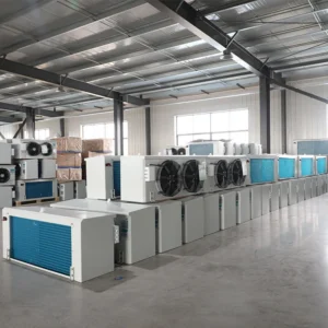 Blast Freezer, Stainless, Steel