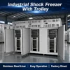 Blast Freezer, Stainless, Steel - view 4