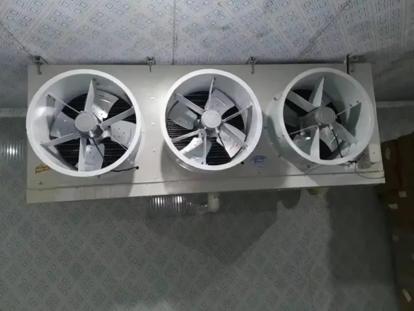 Blast Freezer, Stainless, Steel - view 6