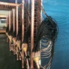 Blue Coated Evaporator - view 2