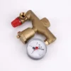 Brass Boiler, Manual, Boiler Feed Valves - view 4
